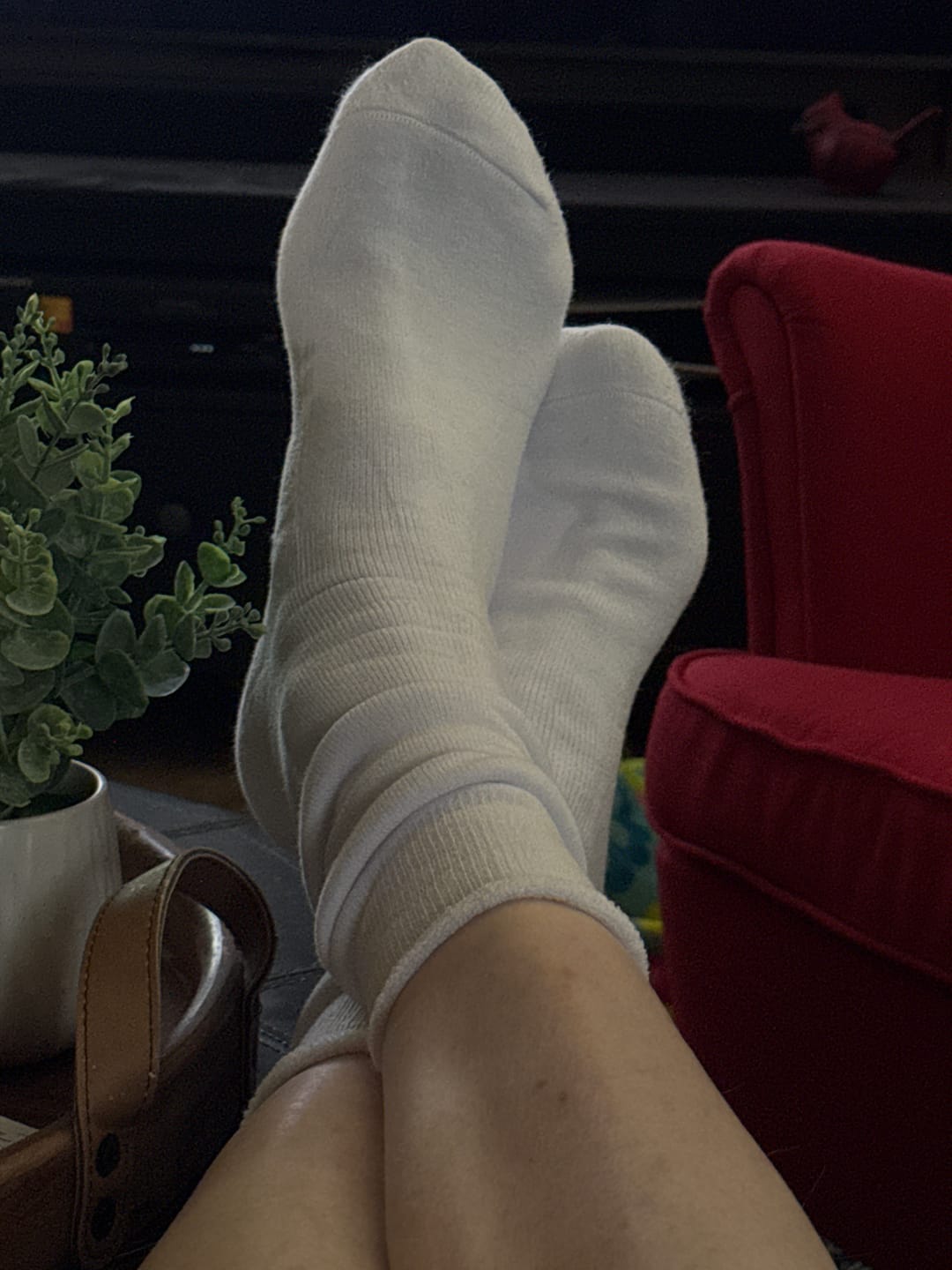 Customer photo review of Milk