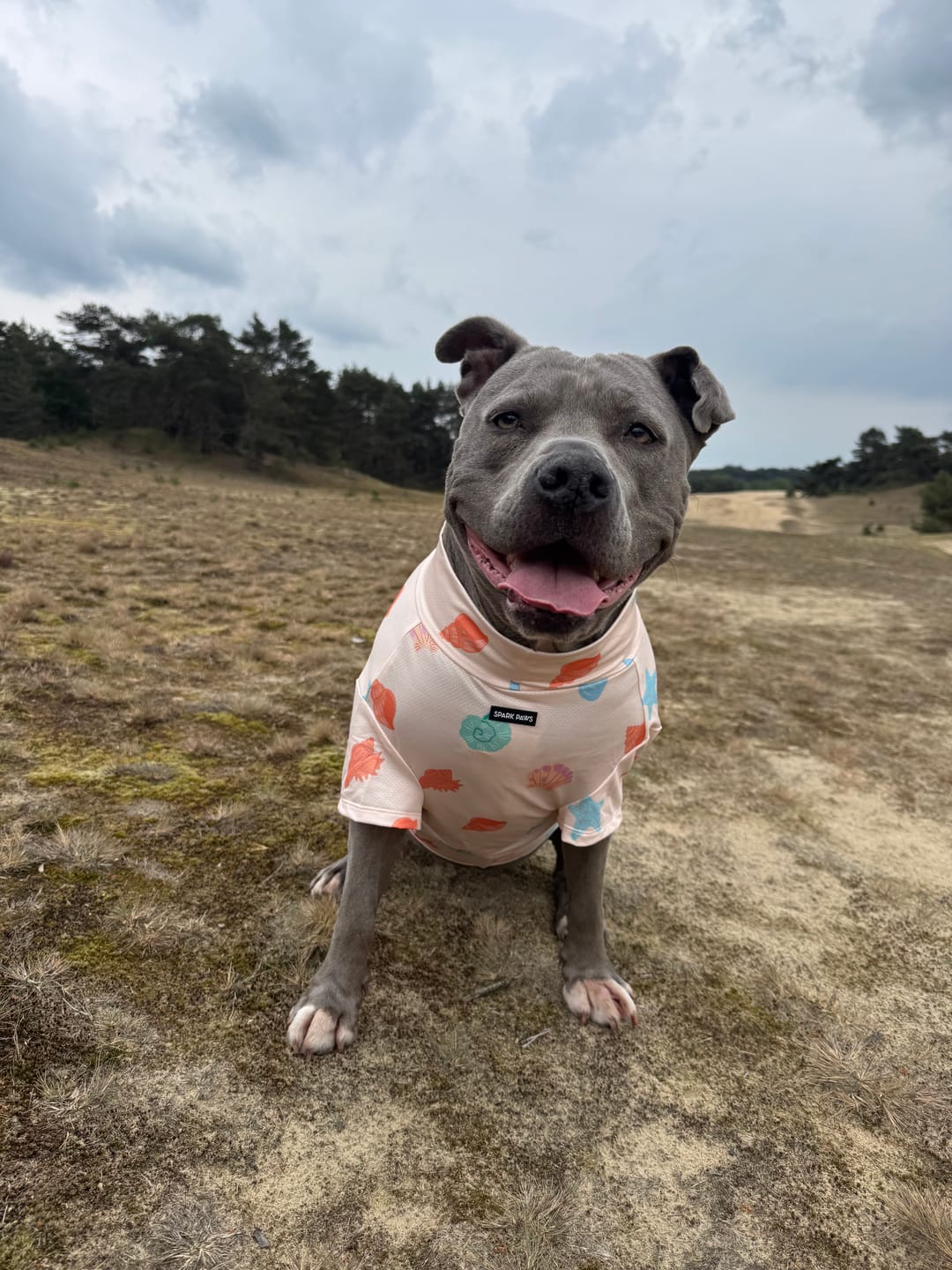 Customer photo review of Sunblock Dog T-Shirt - Seashell