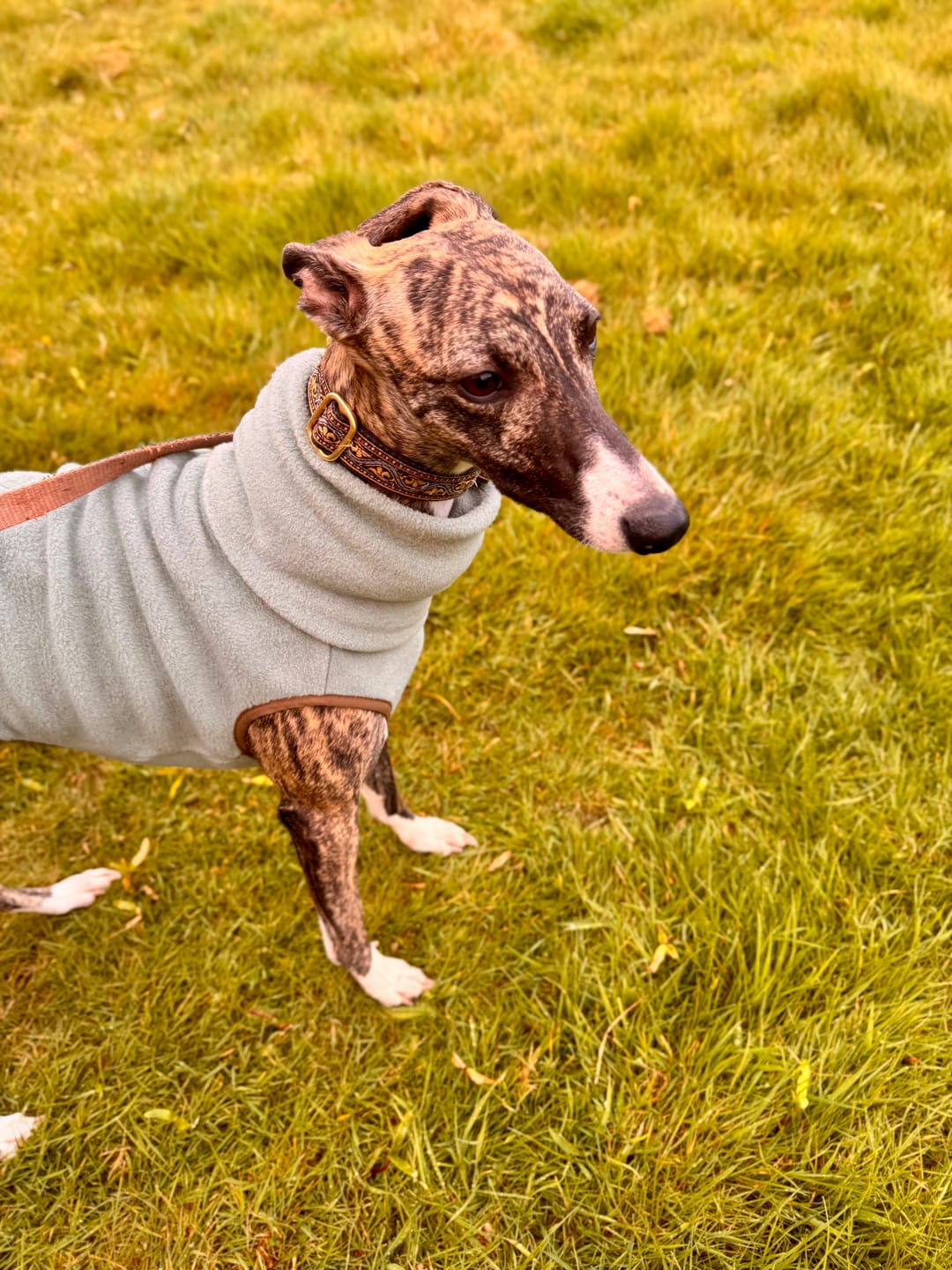 Customer photo review of Whippet Fleece
