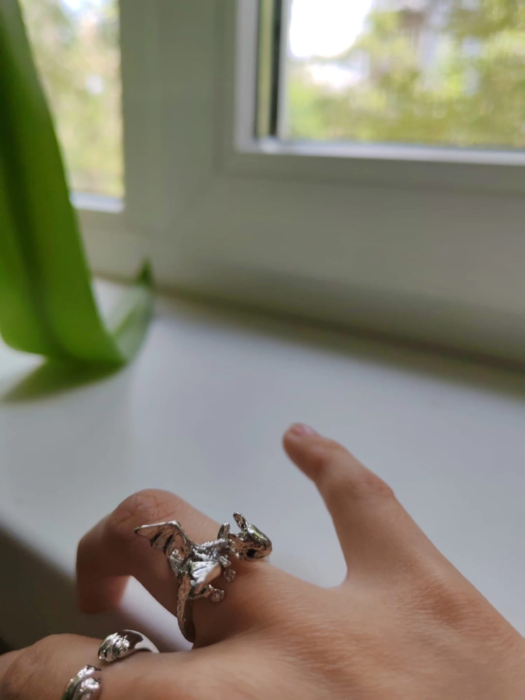Customer photo review of Adjustable Toothless & Light Fury Ring