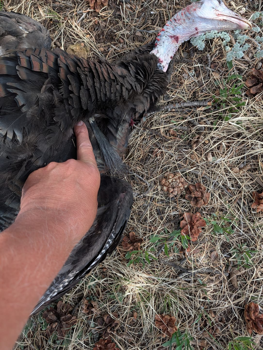 Customer photo review of Vis360 See Through Ground Blind | 360° Camouflage Pop Up Hunting Blind for 2/3/4 Person | Portable Deer Blind with Orange Cover