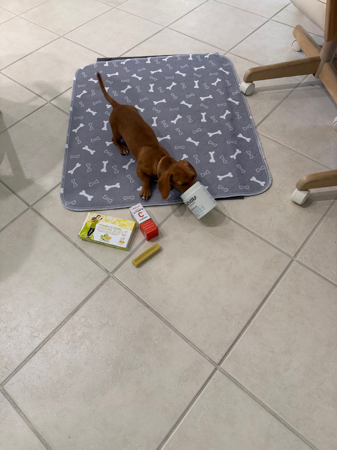 Customer photo review of Strawberry Yak Chews