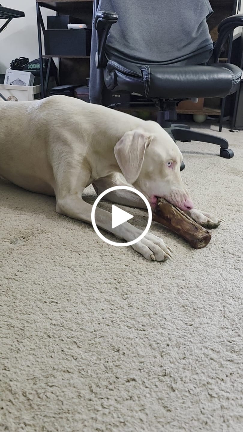 Customer video review of Smoked Beef Marrow Bones — Stuffed Edition (Limited Time)