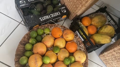 Kundenfoto von rosa Bio-Grapefruits in einem geflochtenen Korb, umgeben von anderen Früchten.