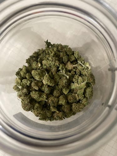 Alien OG - Minis - 28 Grams - Indica photo review