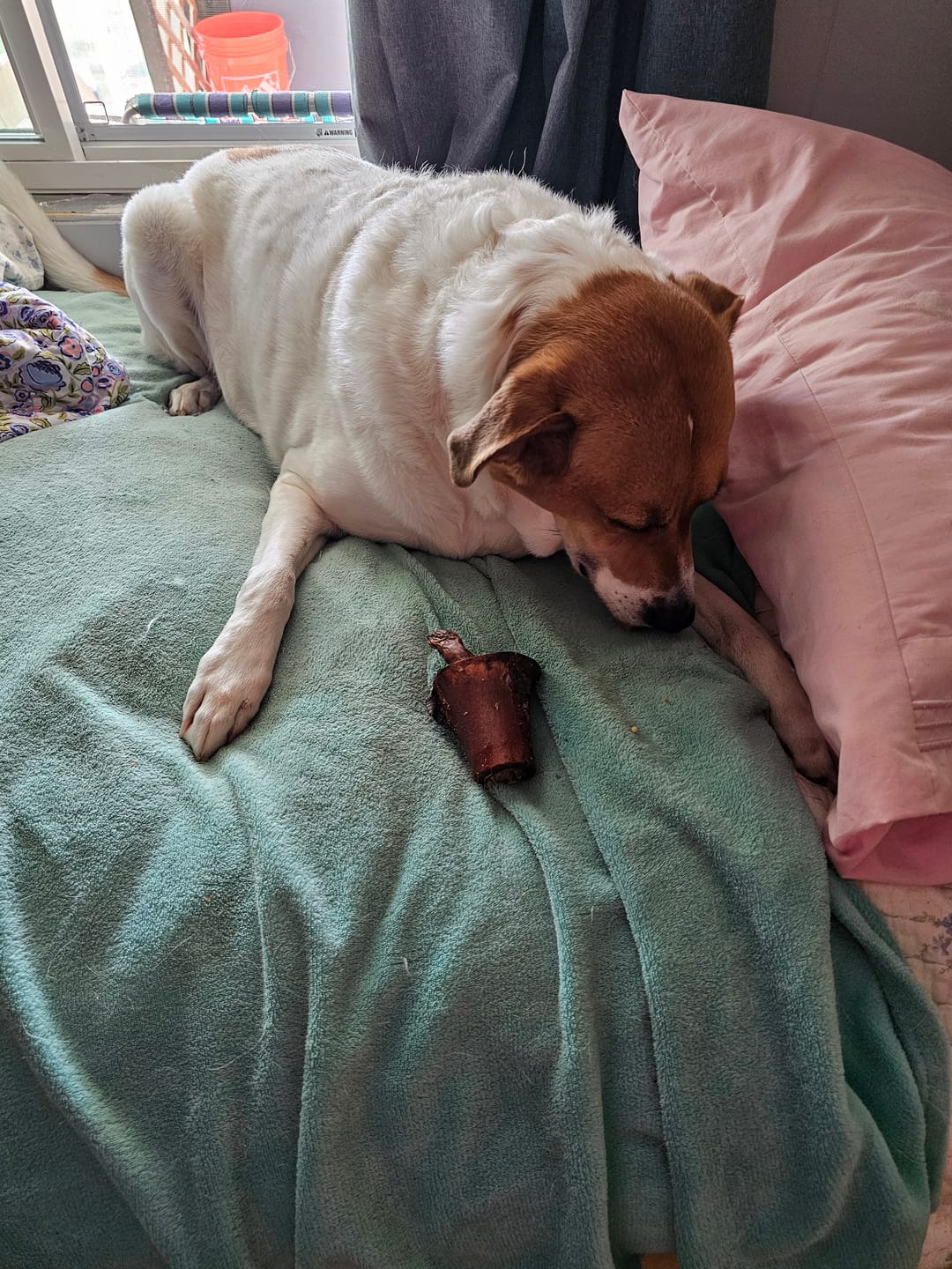 Customer photo review of Smoked Beef Marrow Bones — Stuffed Edition (Limited Time)