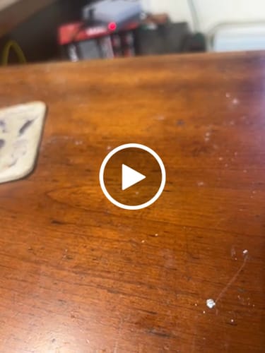 Customer video review of Hoffman Tactical Super Safety AR-15 100% USA Made