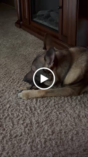 Customer review