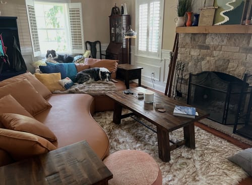 Customer photo review of Luxury Washable Faux Sheepskin Rug - Pet & Stain Proof Shag Carpet for Home