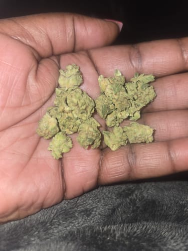 Alien OG - Minis - 28 Grams - Indica photo review