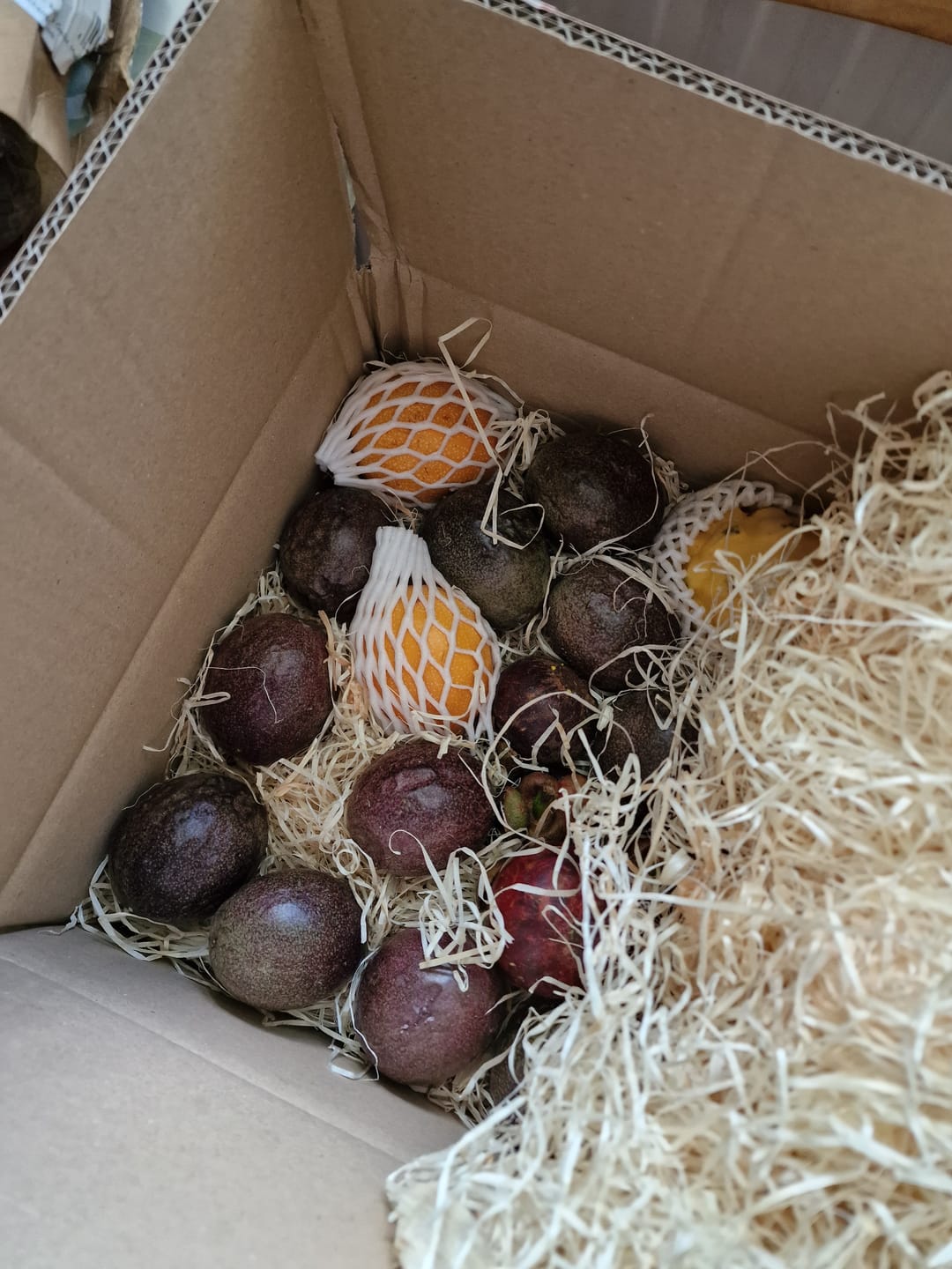 Customer photo review of Exotik Obst Mix