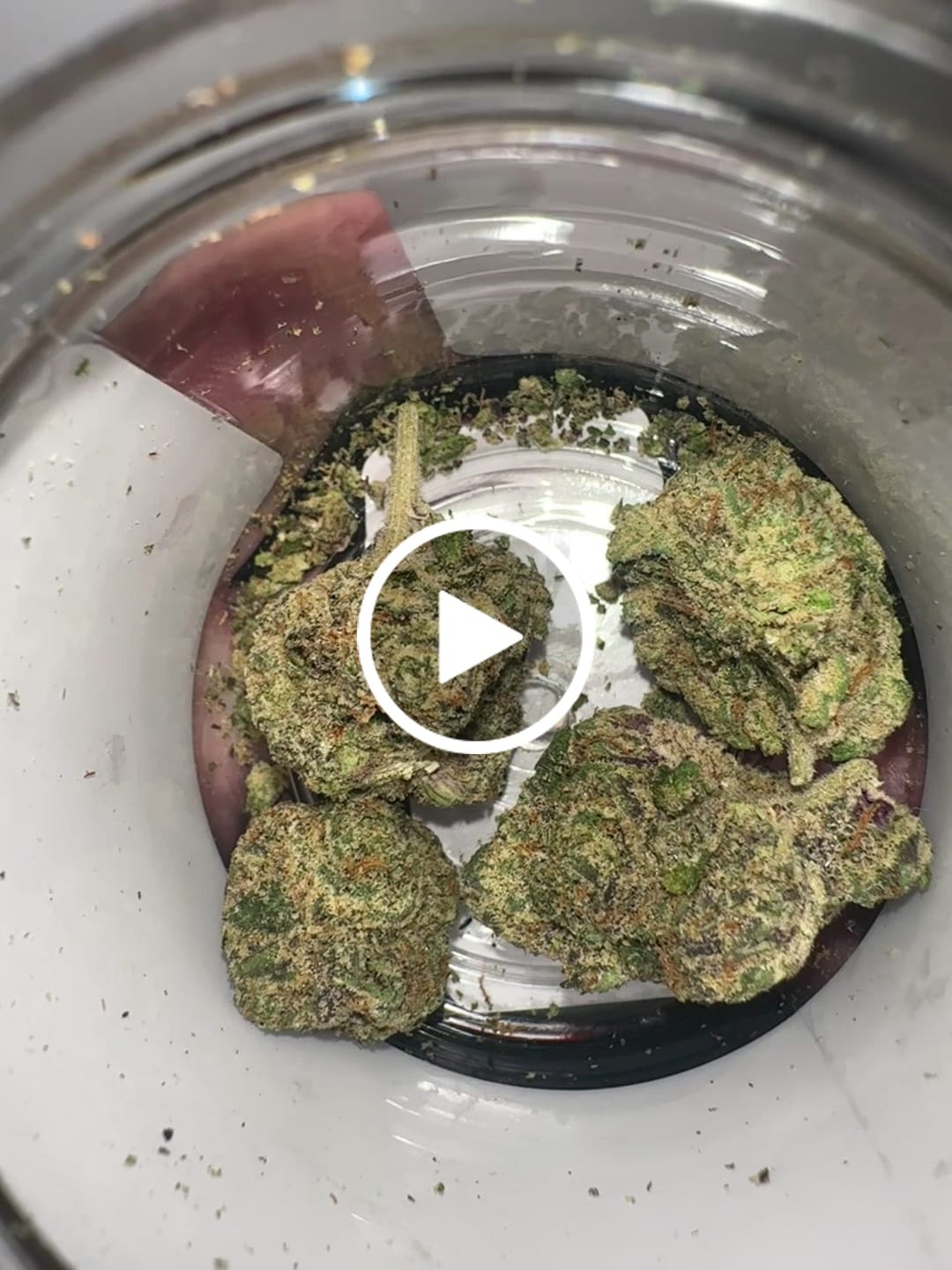 Customer video review of Bolo Runtz - 4 Grams - Hybrid
