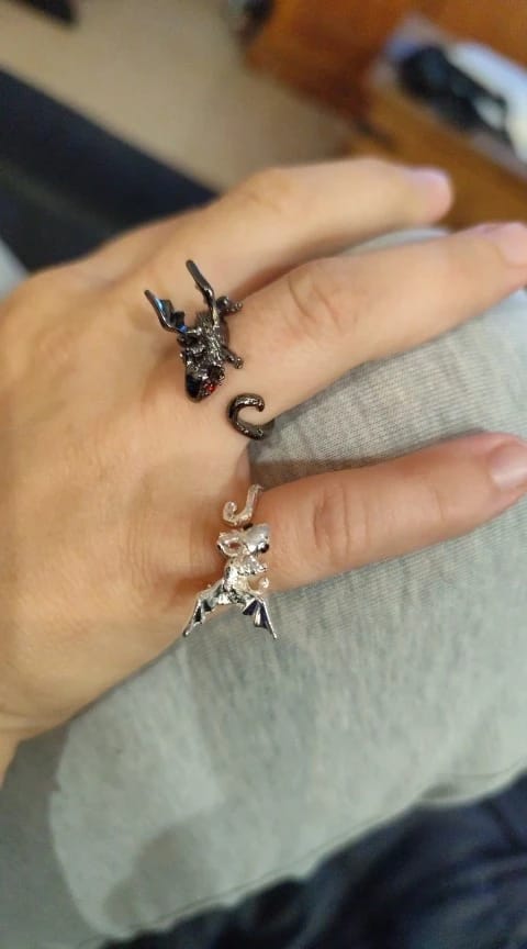 Customer photo review of Adjustable Toothless & Light Fury Ring