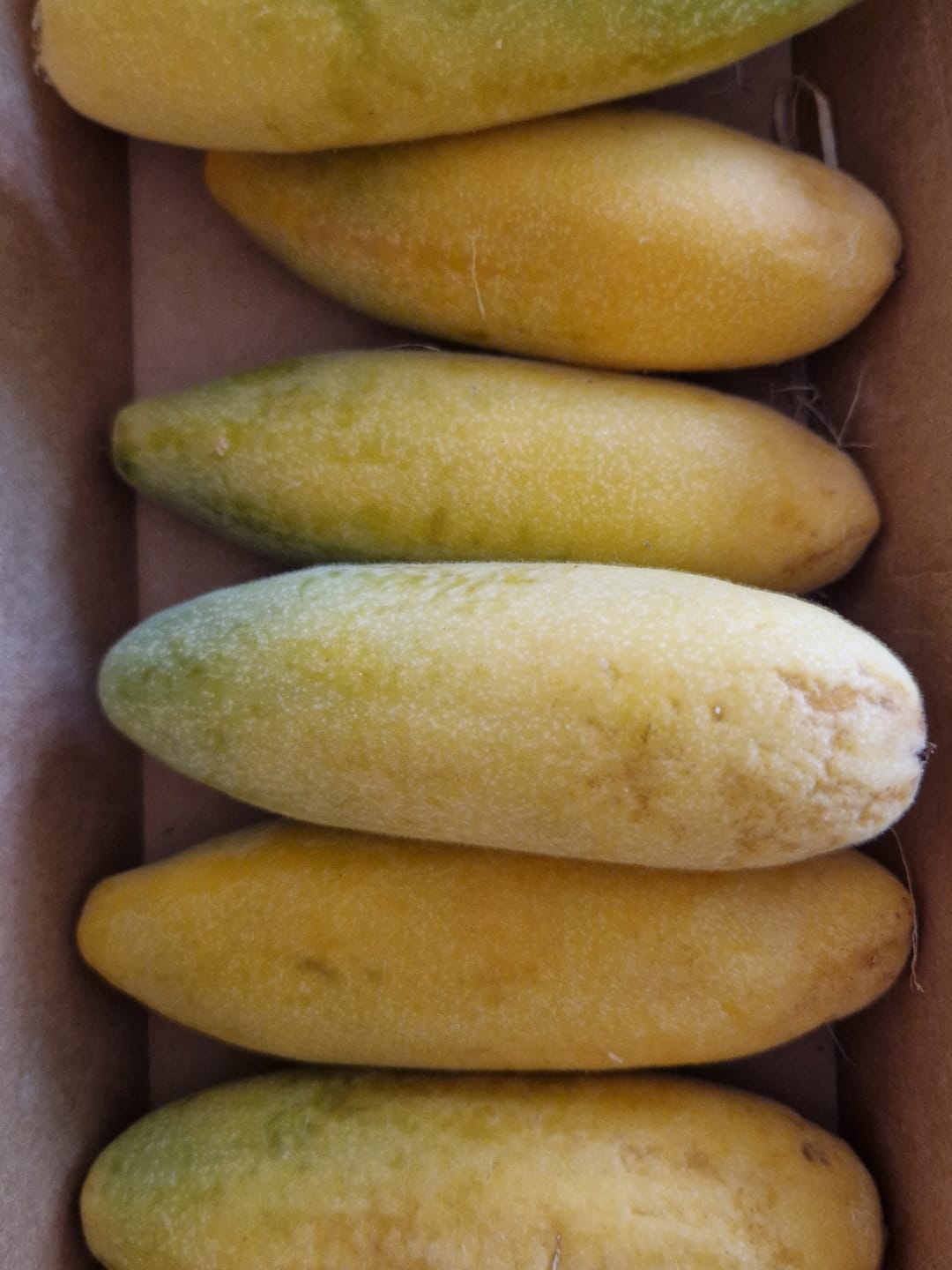 Customer photo review of Curuba (Bananen-Maracuja)