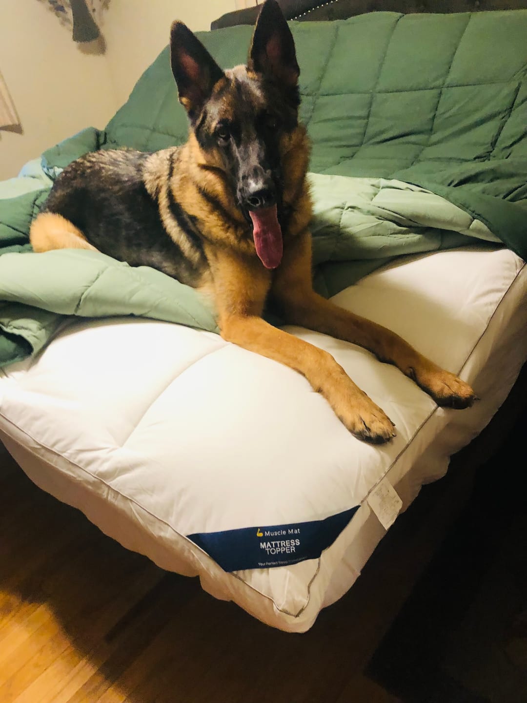 Customer photo review of Muscle Mat Luxury Mattress Topper - 4 Inches Thick