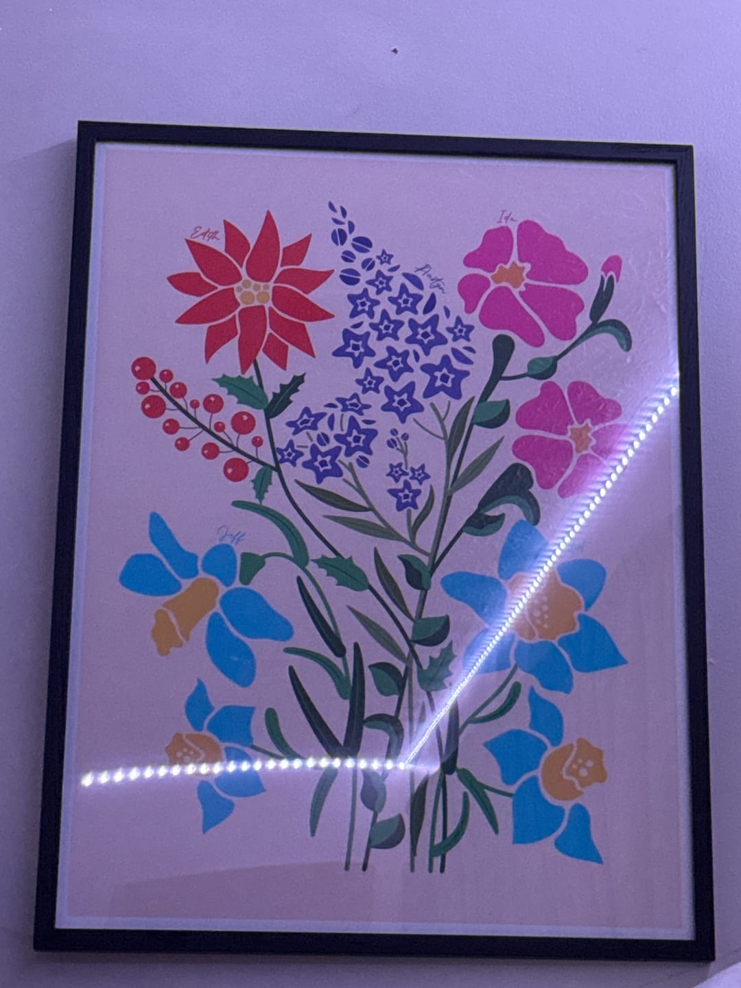 Customer photo review of Family Garden