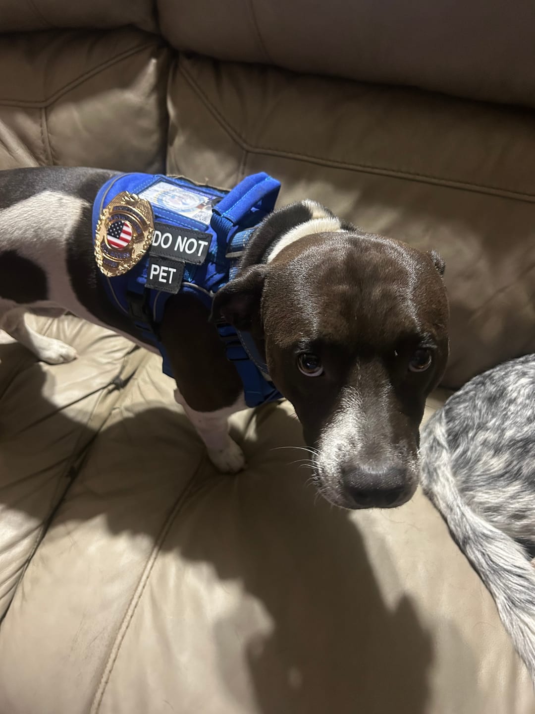 Customer photo review of Customizable Badge BA02