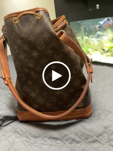 Customer video review of Noé