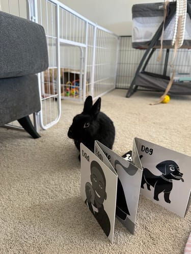 Customer photo review of Welcome To The World Little One Black and White Baby Book