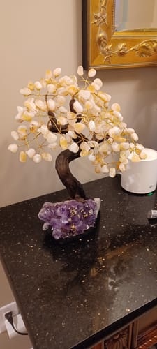 Customer photo review of Citrine 14" Tall Bonsai Gemstone Tree, Amethyst Base  **SELECT YOUR TREE**