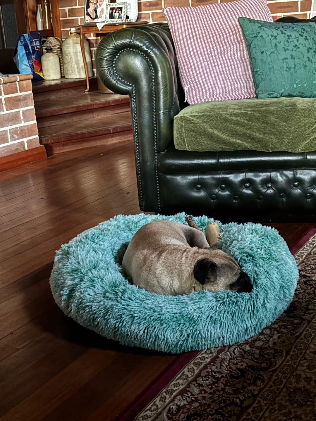 Customer photo review of Calming Pet Bed with Removable Cover