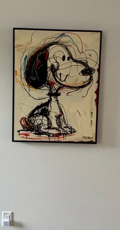 Customer photo review of Abstract Graffiti Art #GA001