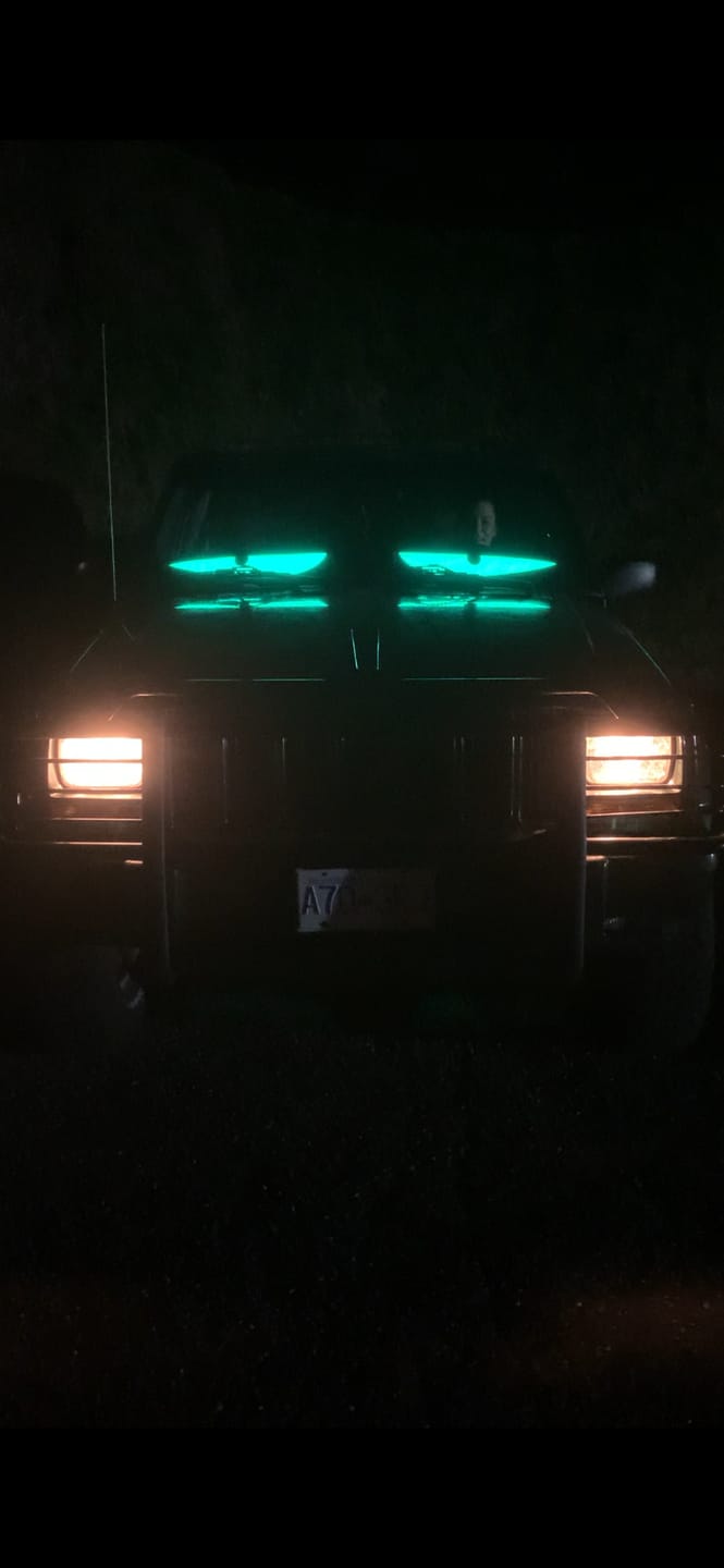 Customer photo review of Electra Eyes - LED Animated Eyes