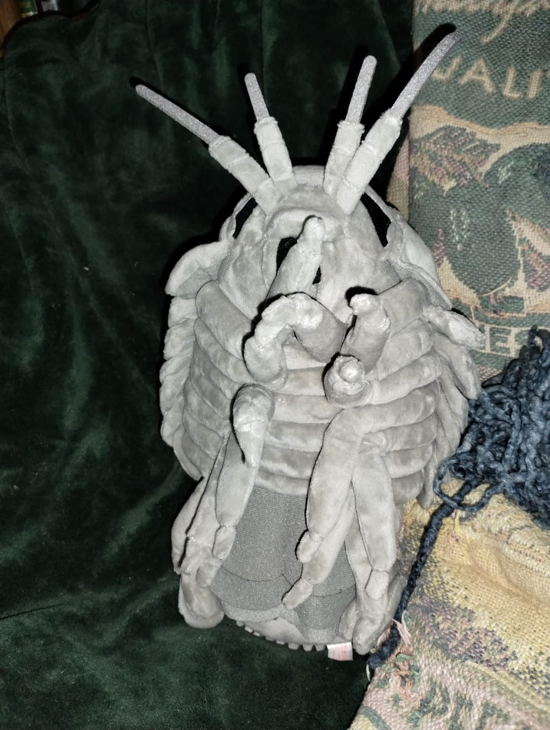Customer photo review of Giant Isopod Soft Stuffed Plush Toy