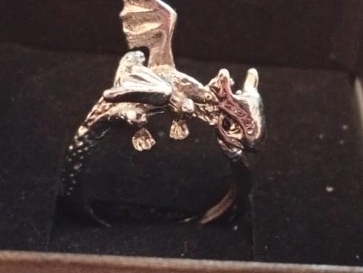 Customer photo review of Adjustable Toothless & Light Fury Ring