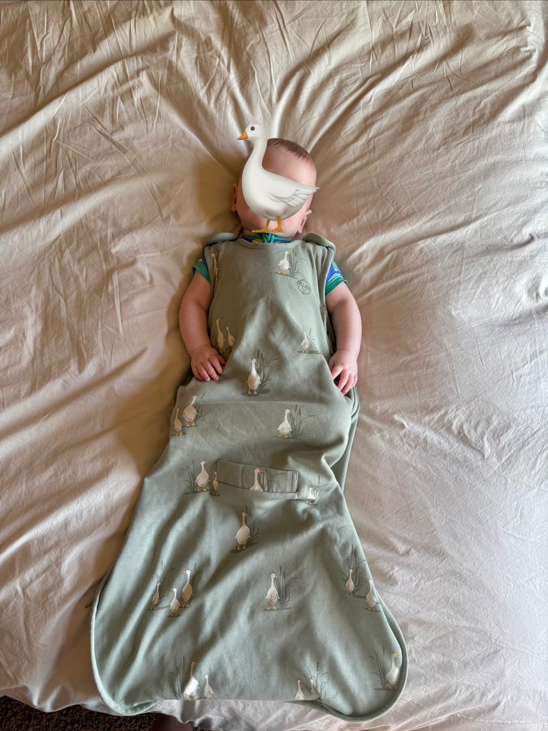 Customer photo review of 4 Season® Ultimate Baby Sleep Bag, Merino Wool & Organic Cotton, Goose