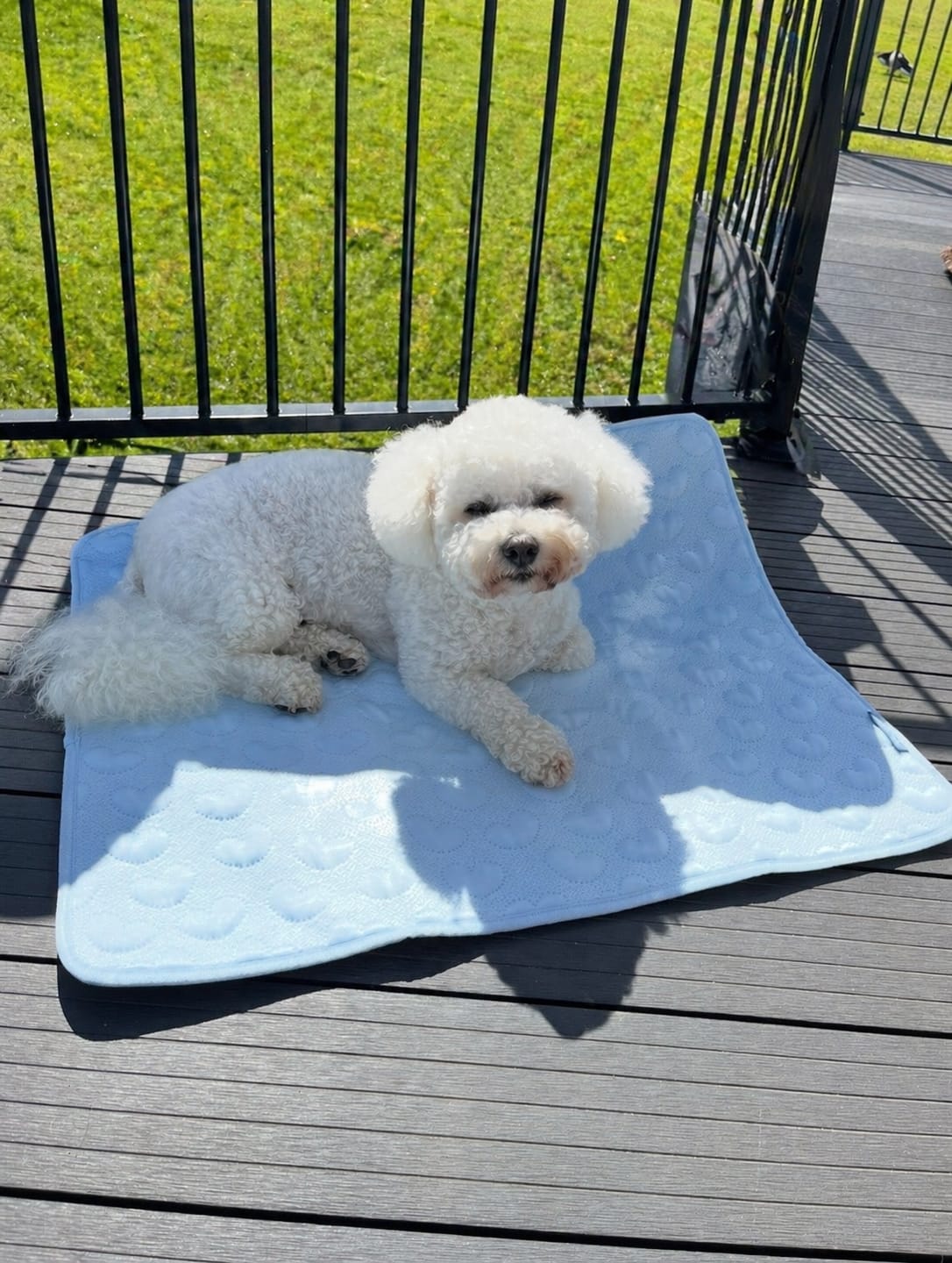 Customer photo review of Frostcore™ Cooling Mat - Hearts Blue (2)