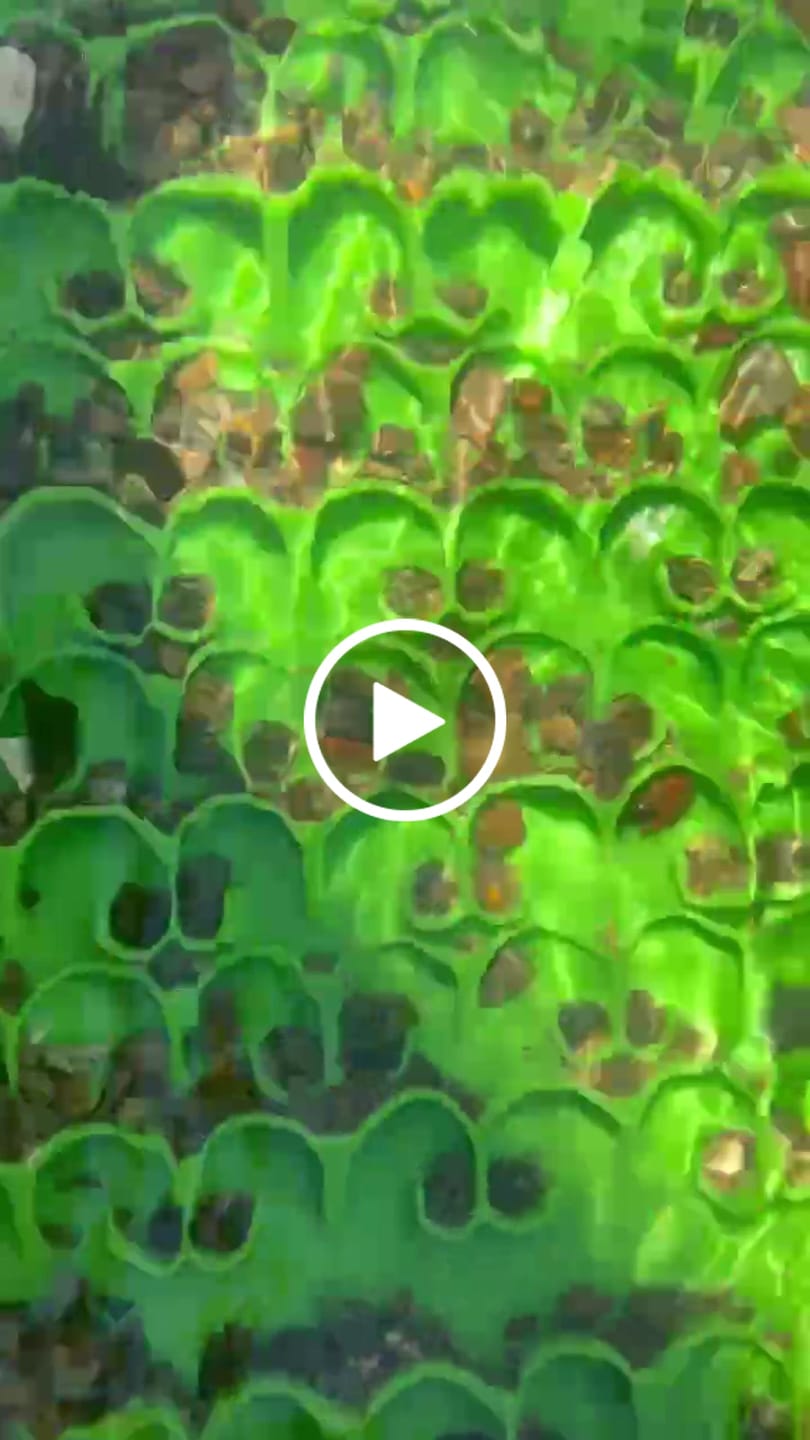 Customer video review of 6 Inch Dream mat river Sluice