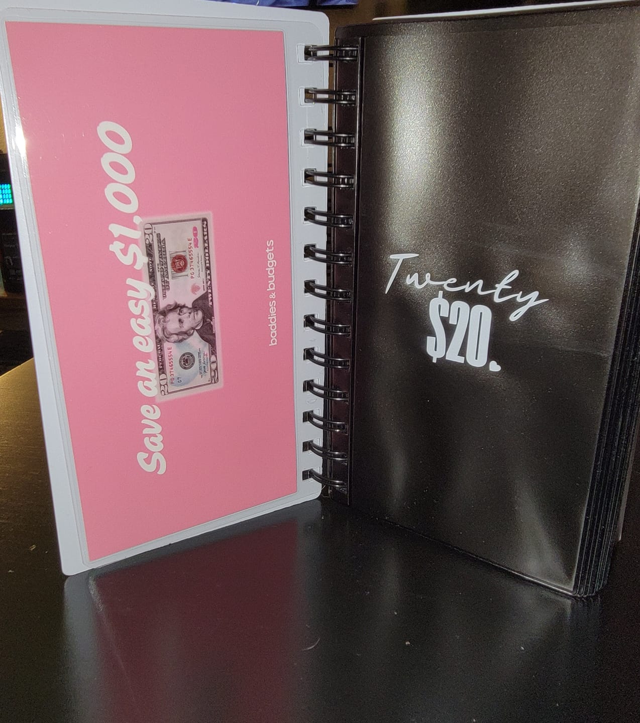 Customer photo review of $20 Challenge Book