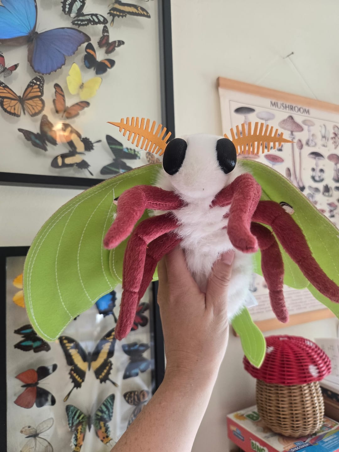 Customer photo review of Indian Moon Moth Soft Stuffed Plush Toy
