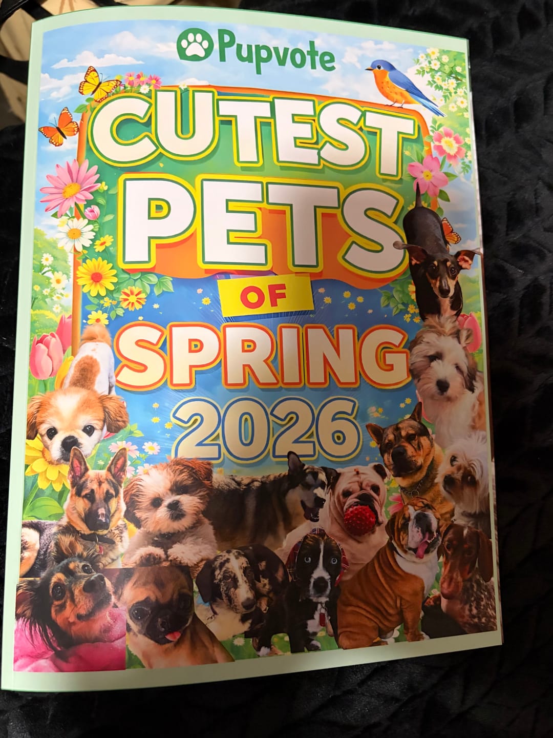 Customer photo review of Cutest Pets of Pupvote Spring 2026