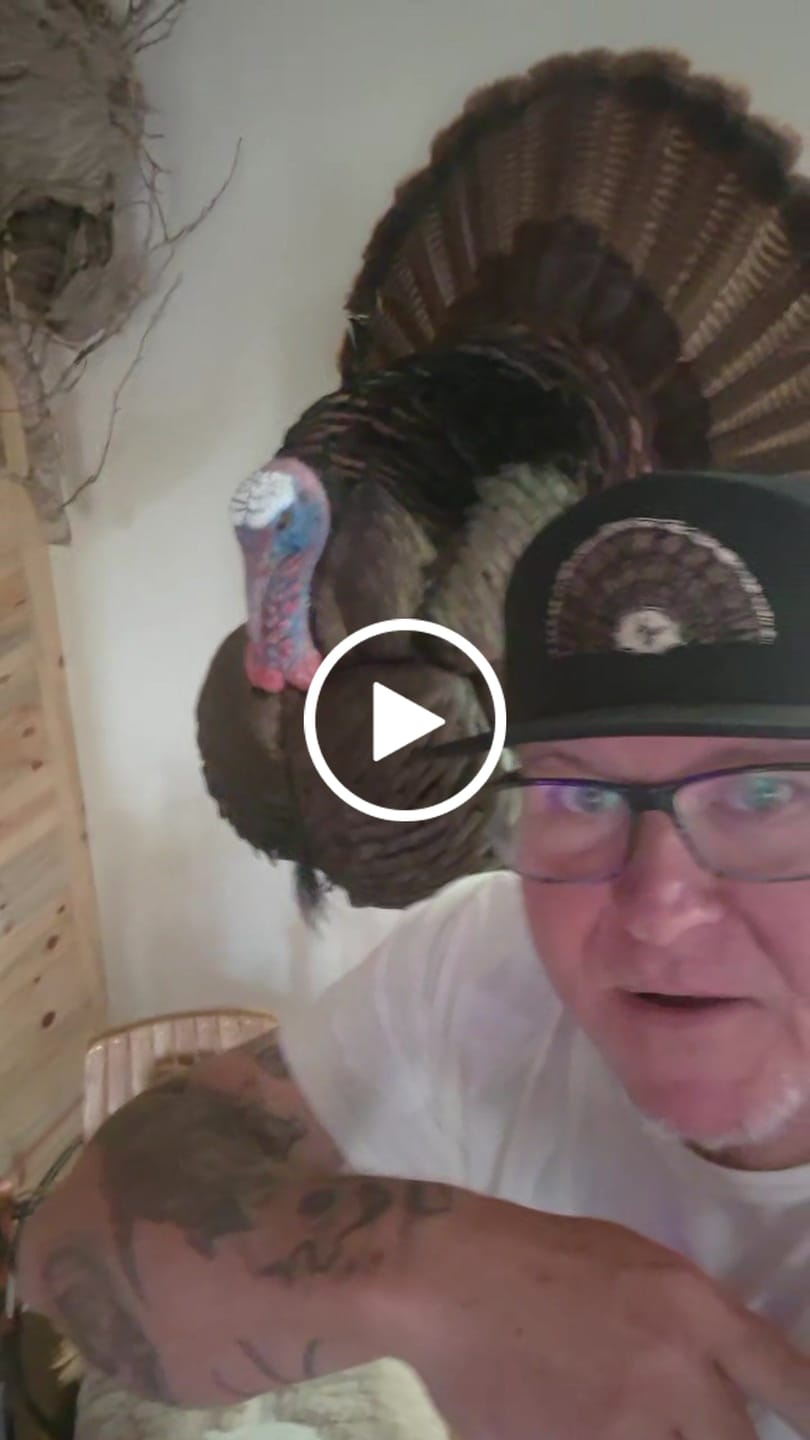 Customer video review of 18 Feathers - 7 Panel All Black