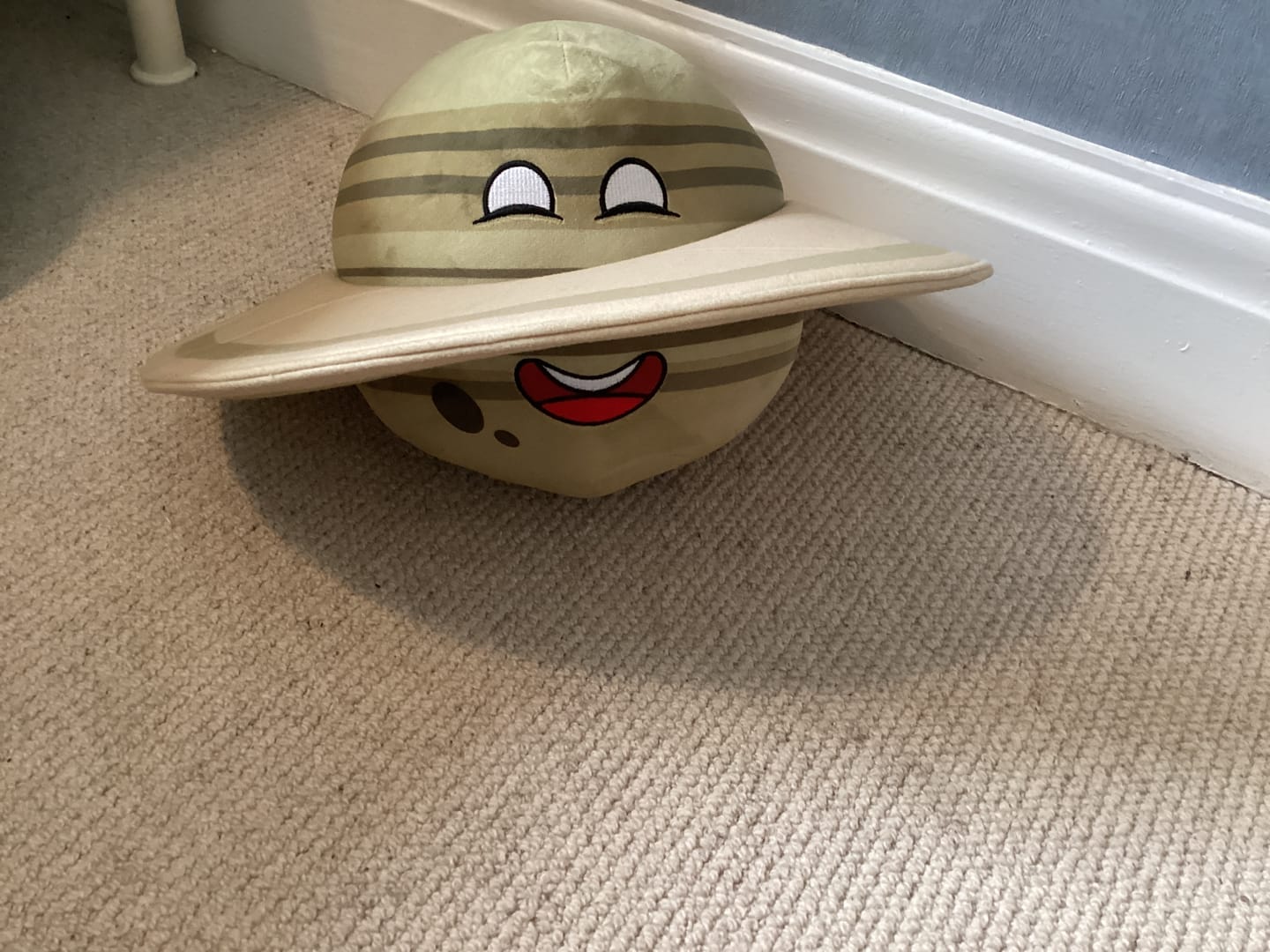 Customer photo review of The SolarBalls Saturn Plush