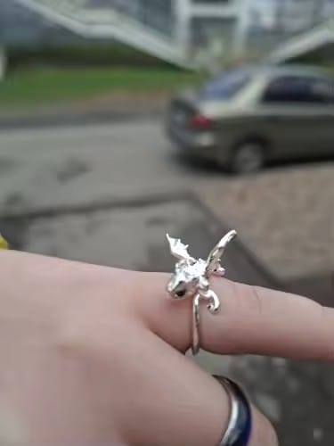 Customer photo review of Adjustable Toothless & Light Fury Ring