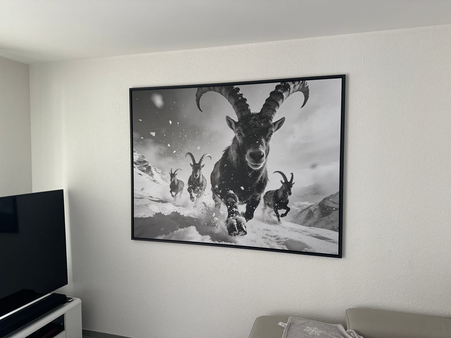 Customer photo review of The Running Ibex – Alu-Dibond wall art