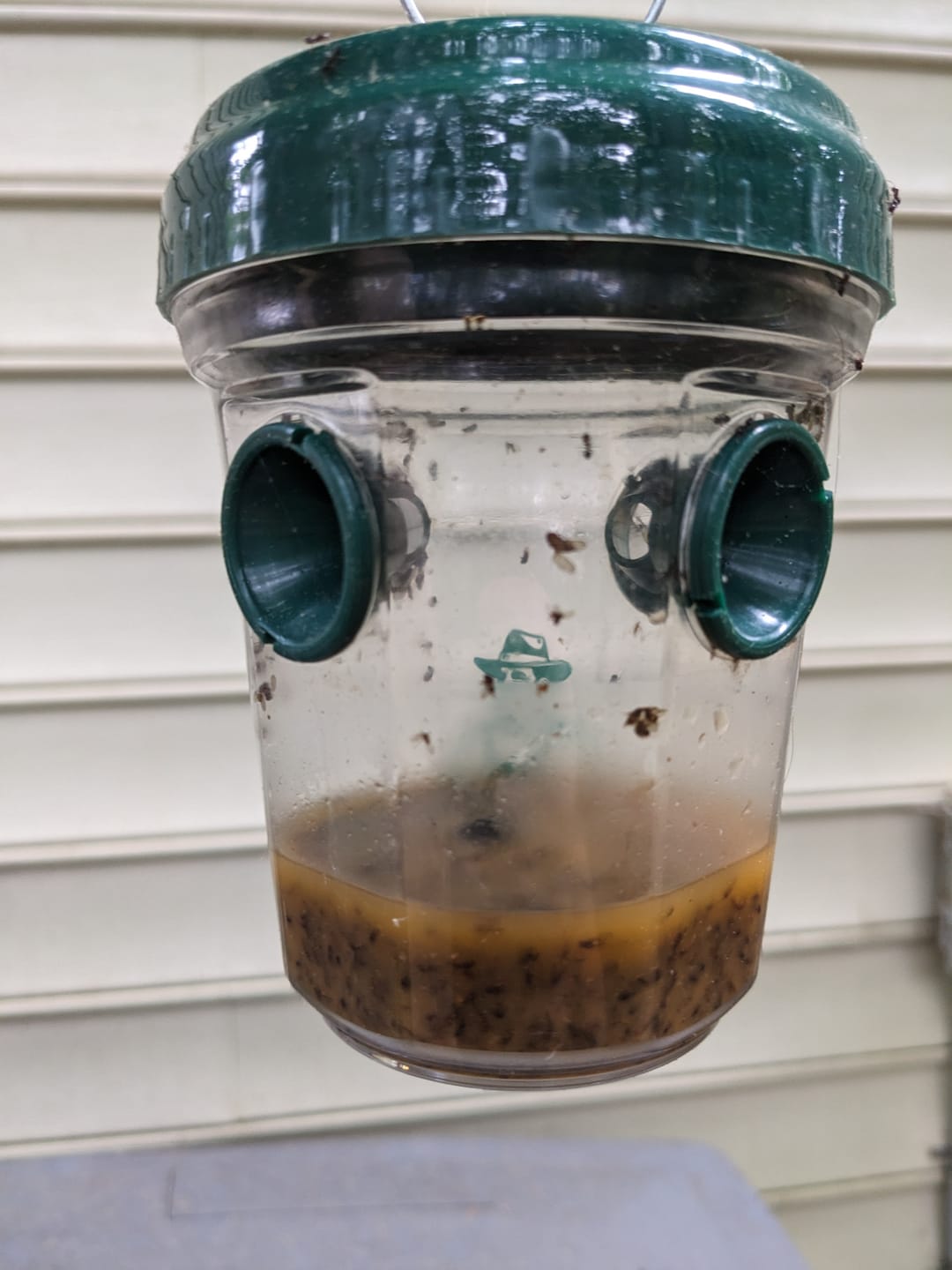 Customer photo review of Mosquito TNT 2.0