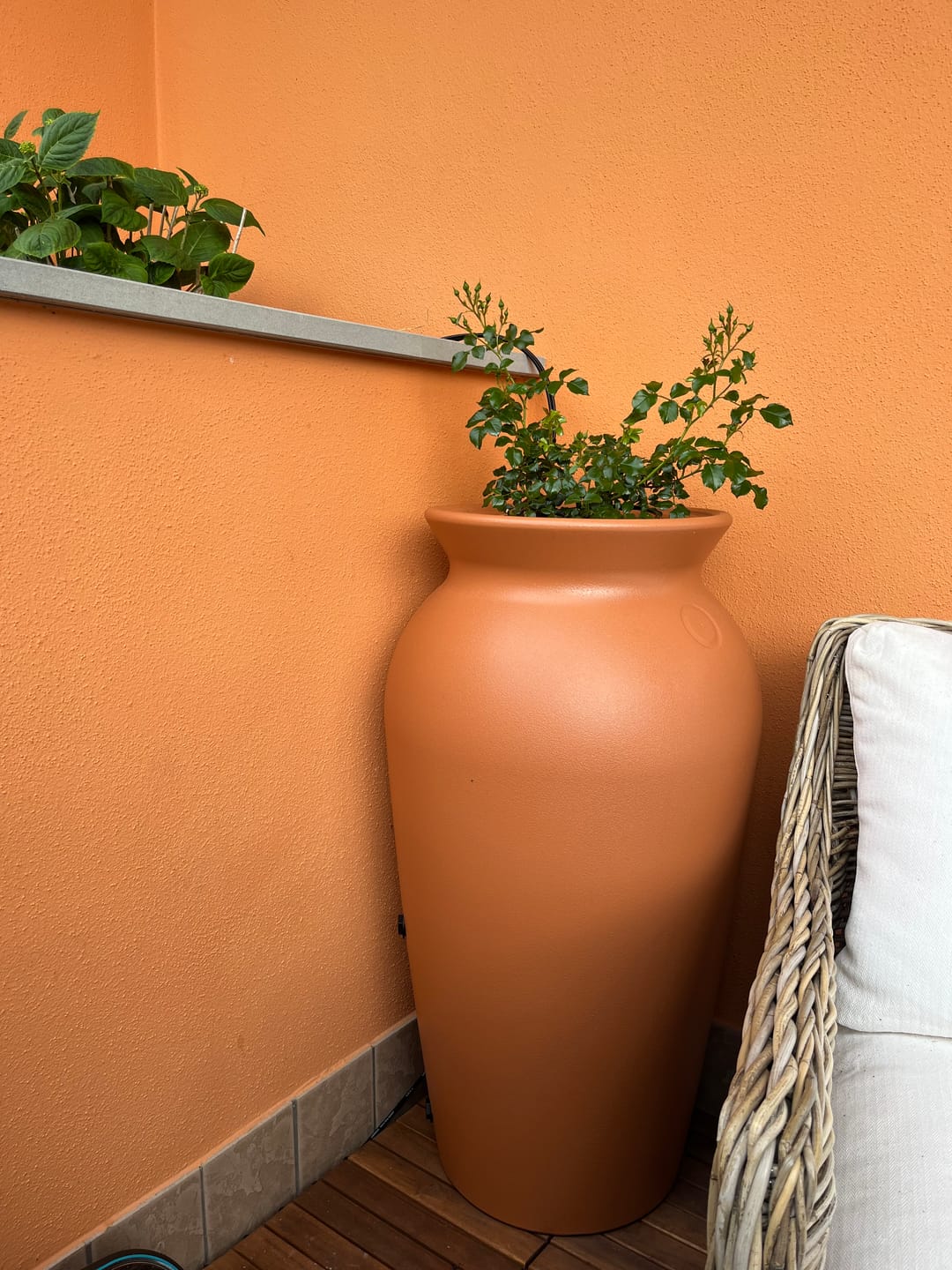Customer photo review of Regentonne 120 Liter oder 230l Dropcatcher im Tongefäß-Design