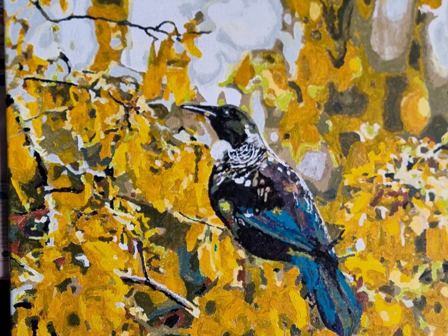 Customer photo review of Tui in Kowhai Tree