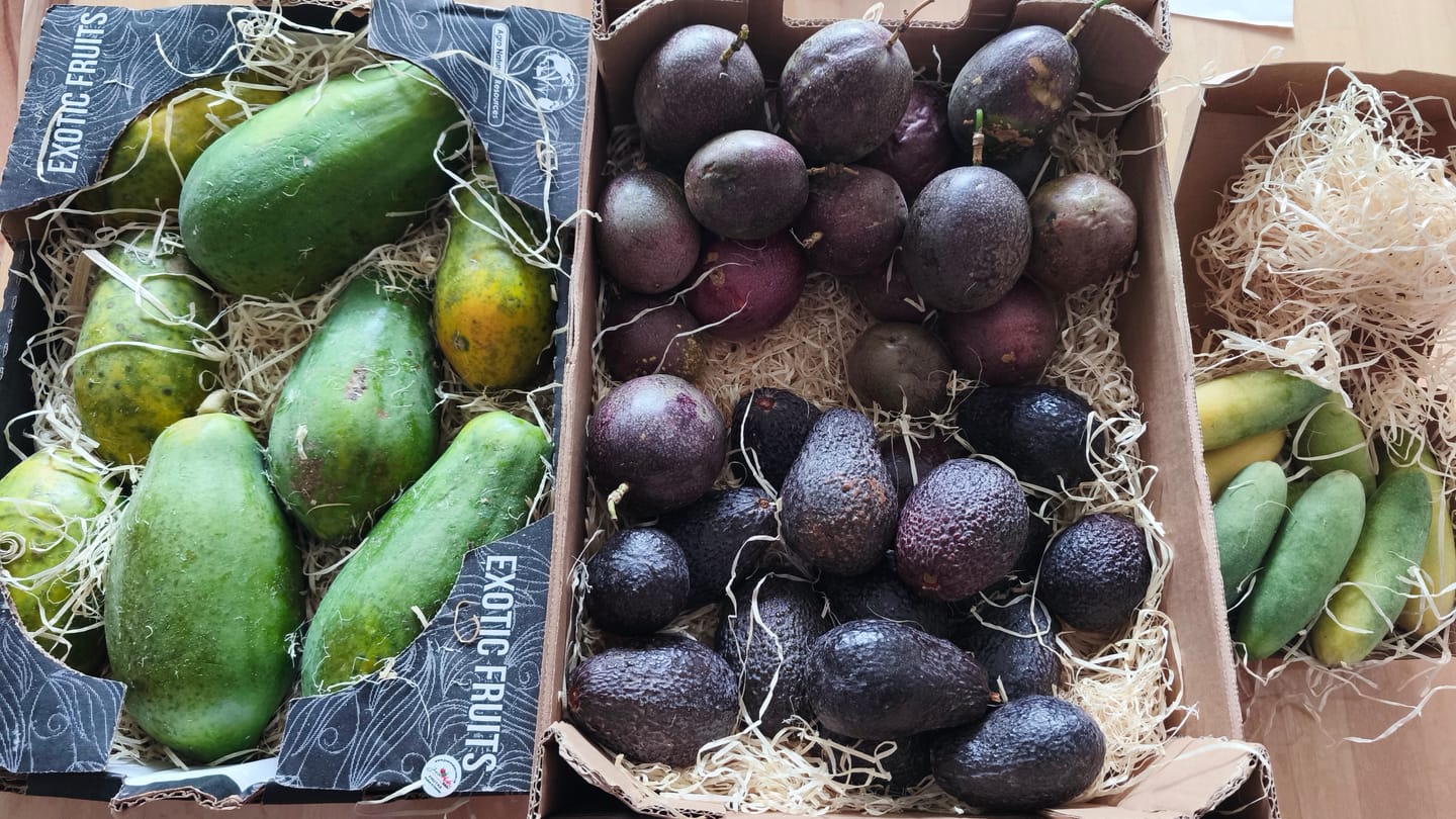 Customer photo review of Curuba (Bananen-Maracuja)