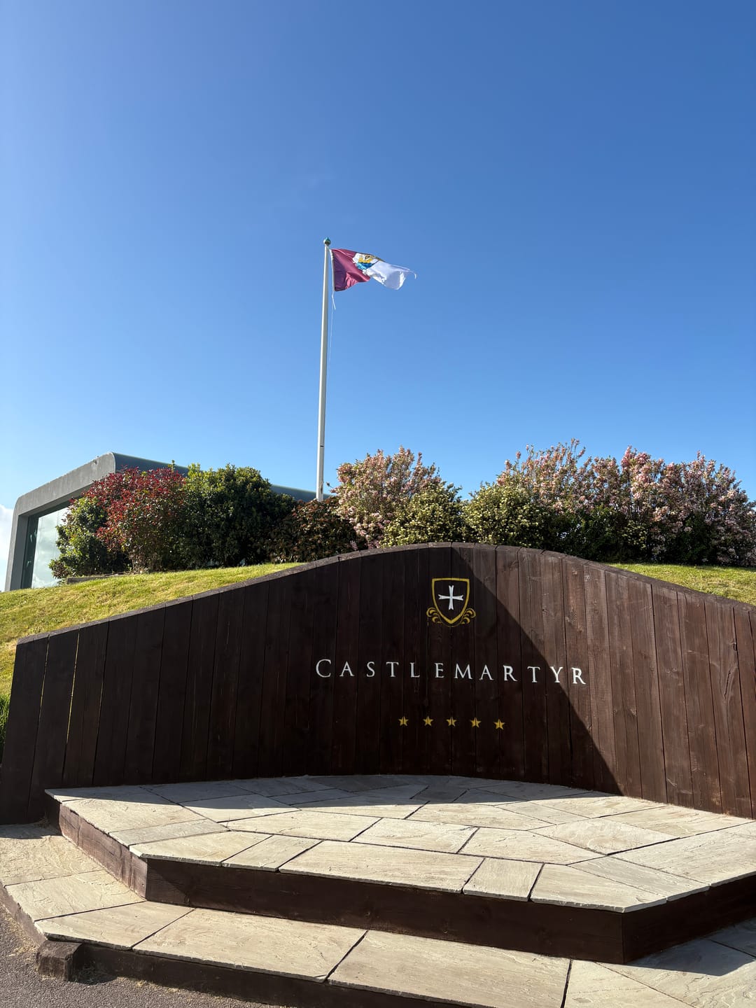 Customer photo review of Galway County Crest Flag