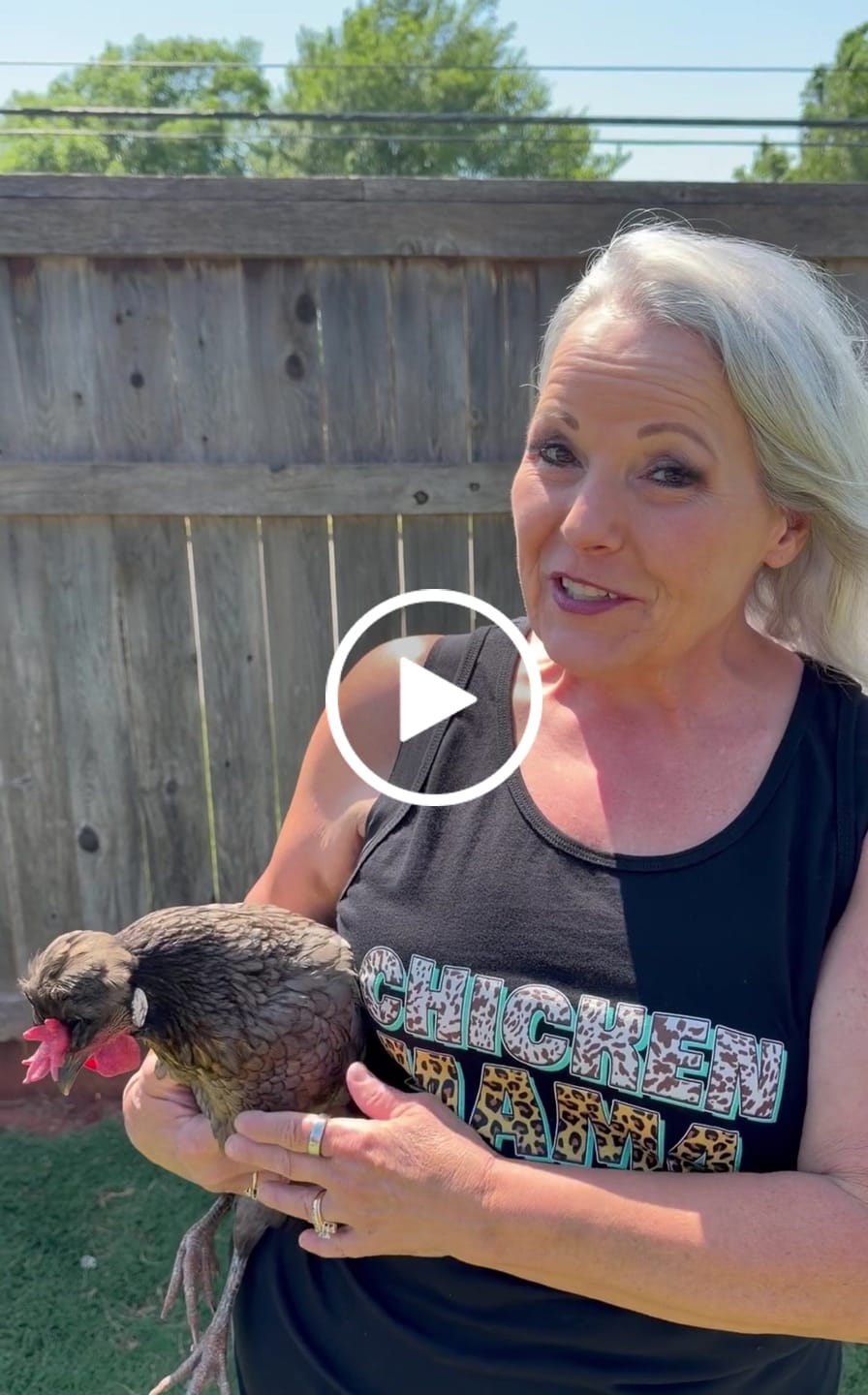 Customer video review of Chicken Mama Tank Top