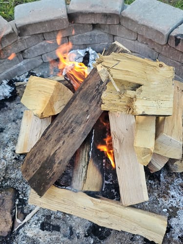 Customer photo review of Surviving The Wild Outdoors - FREE Ebook