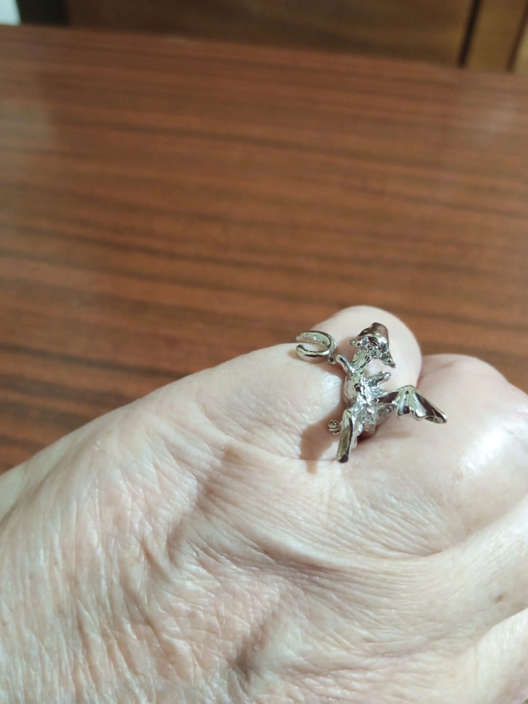 Customer photo review of Adjustable Toothless & Light Fury Ring