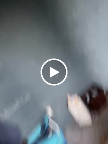 Customer video review of Cheap THCA Flower Quarter Pound