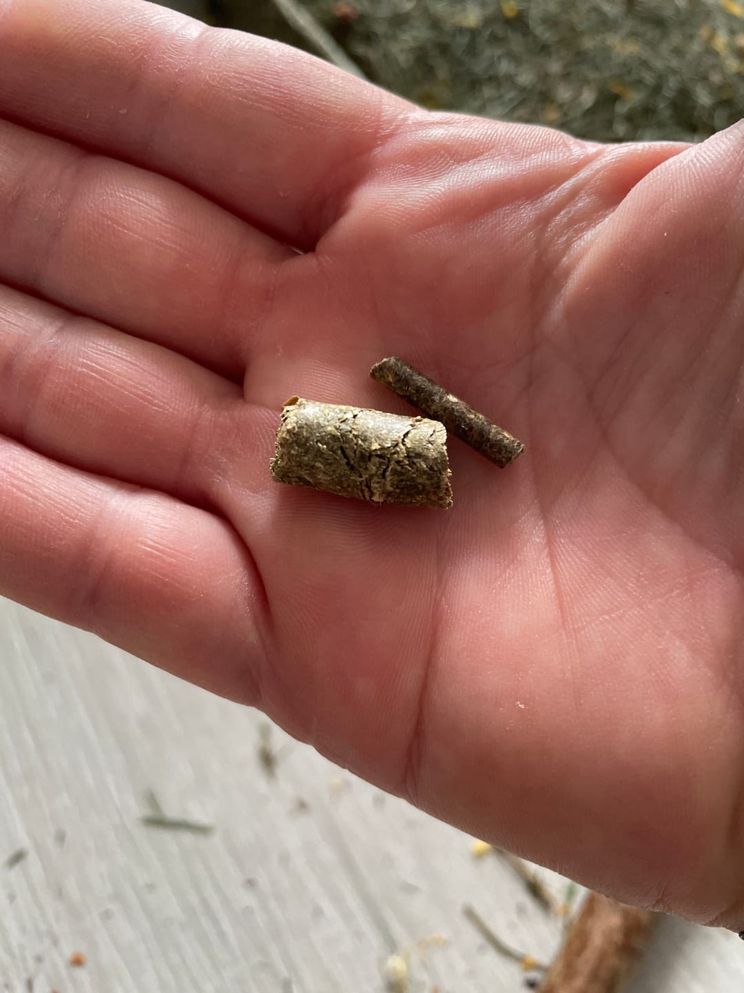Customer photo review of Granulés sans céréales 100% français