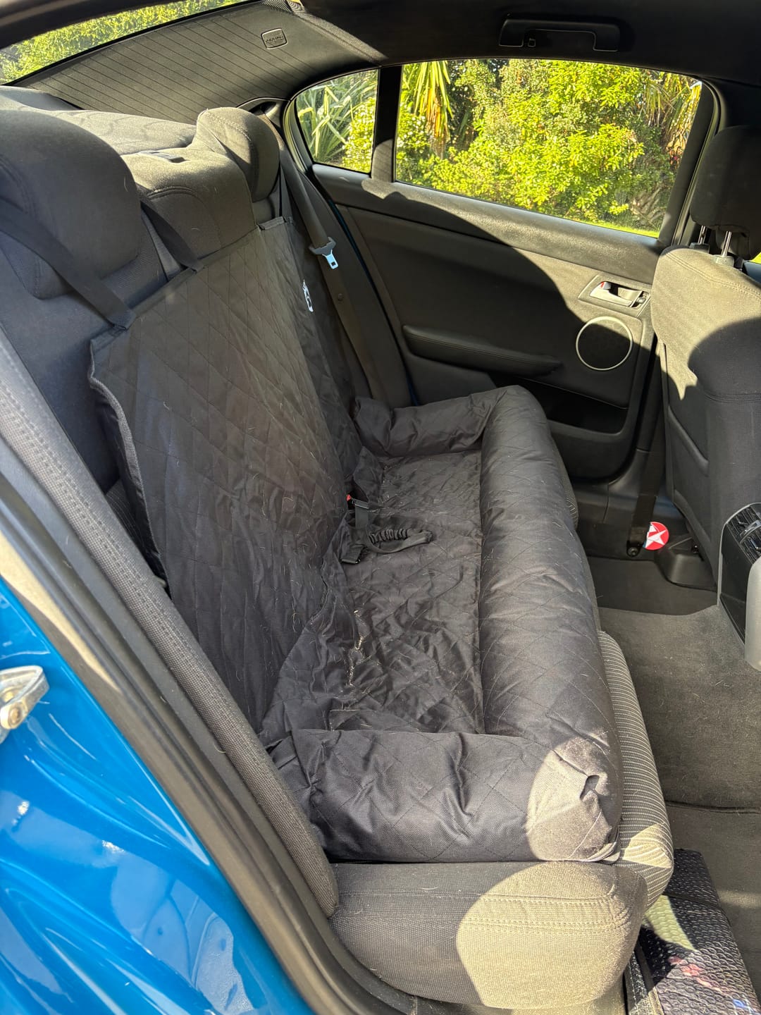 Customer photo review of Car Seat Cover